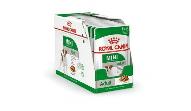 Wet food Royal Canin Mini Adult 12 x 85 g