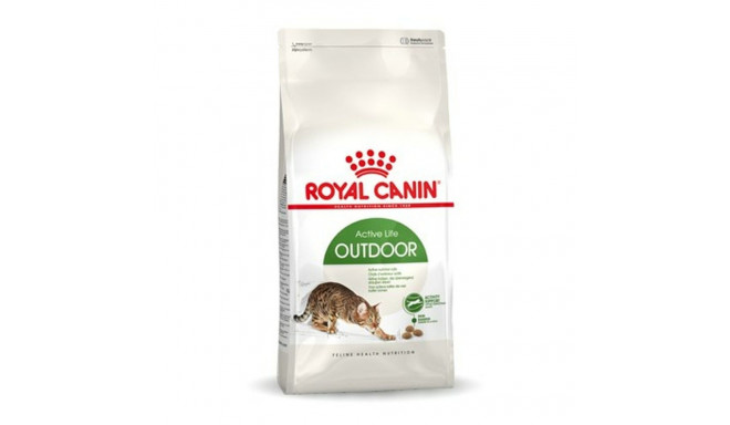 Kaķu barība Royal Canin Outdoor Pieaugušais Cālis 2 Kg