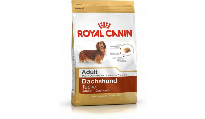 Sööt Royal Canin Dachshund Adult Täiskasvanu Linnud 1,5 Kg