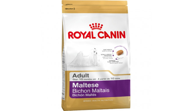 Sööt Royal Canin Maltese Adult Täiskasvanu Mais Linnud 1,5 Kg