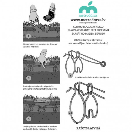 Metrodārzs mutilõks