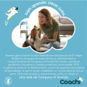 Dog Lead Coachi Training Blue