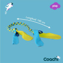 Training toy Coachi TUGGI TUG Синий