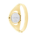 Ladies' Watch Calvin Klein 25200 - Silver