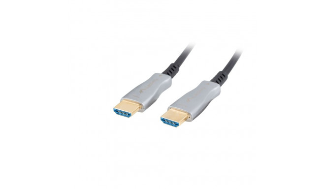HDMI Cable Lanberg CA-HDMI-20FB-0100-BK Black 10 m