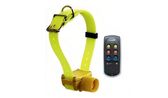 Koera kaelarihm Num'Axes