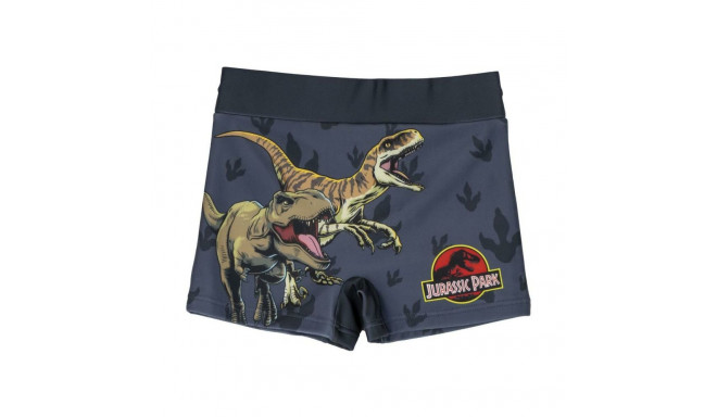 Boys Swim Shorts Jurassic Park Dark grey - 4 Years