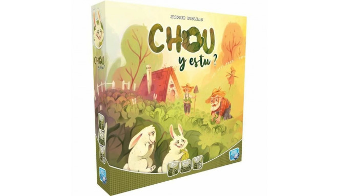 Board game Asmodee Chou-y-es-tu? (FR)