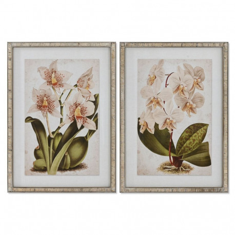 Maal Home ESPRIT Troopiline Orhidee 50 x 2,5 x 70 cm (2 Ühikut)