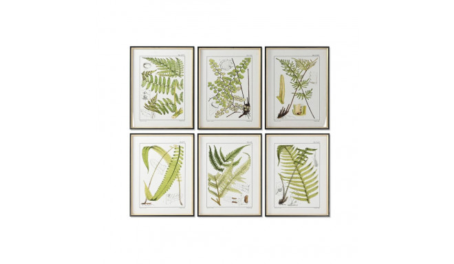 Maal Home ESPRIT Kaasaegne Sõnajalg 50 x 2,5 x 65 cm (6 Ühikut)