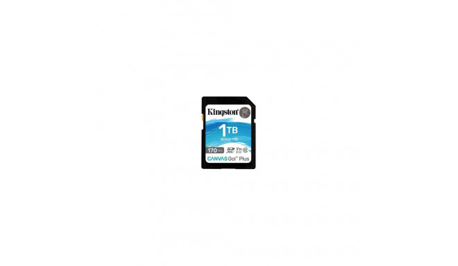 Kingston Technology Canvas Go! Plus 1TB SDXC Canvas Go Plus 170R C10 UHS-I U3 V30