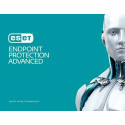 ESET Endpoint Protection Years 2 User Antivirus security 2 year(s)