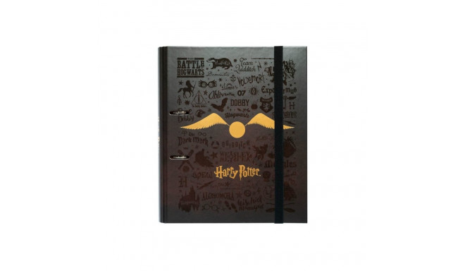 Harry Potter - Segregator A4 (2 ringi, gumka)