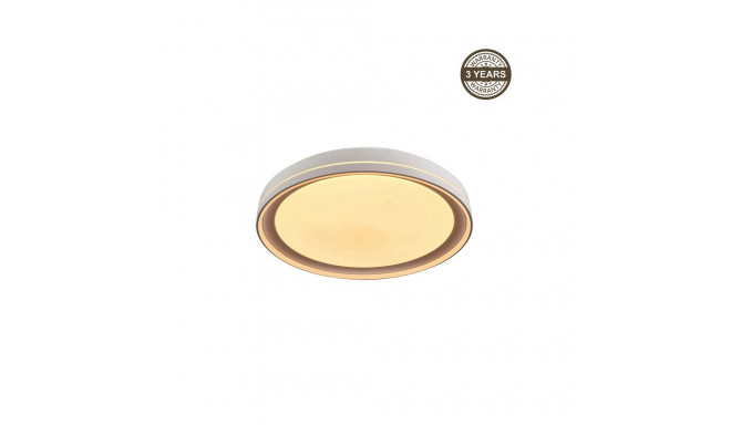 CEILING LAMP LED B2361-1L-R 49CM 45W DIM