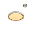 CEILING LAMP LED B2361-1M-R 39CM 30W DIM