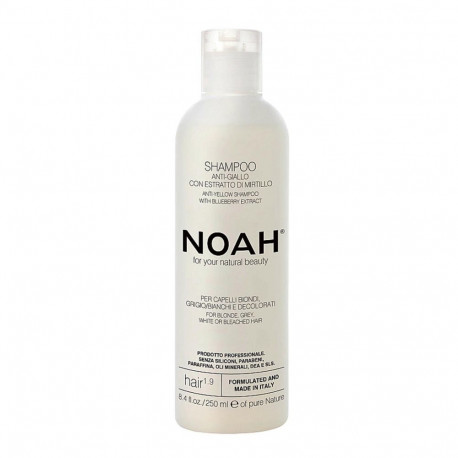 NOAH ANTI-AMARILLO ARANDANOS CHAMPU 250ML