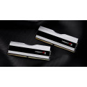 RAM-mälu GSKILL Trident Z5 RGB DDR5 48 GB CL40