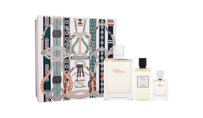 Hermes Terre d´Hermes Eau Givrée Eau de Parfum (100ml) (Edp 100 ml + Shower Gel 80 ml + Edp 12,5 ml)