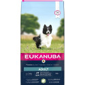 Sööt Eukanuba Small & Medium Täiskasvanu Lammas 12 kg