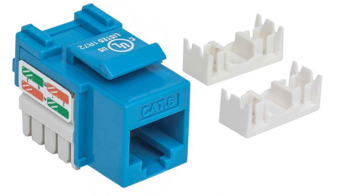 Intellinet Keystone moodul