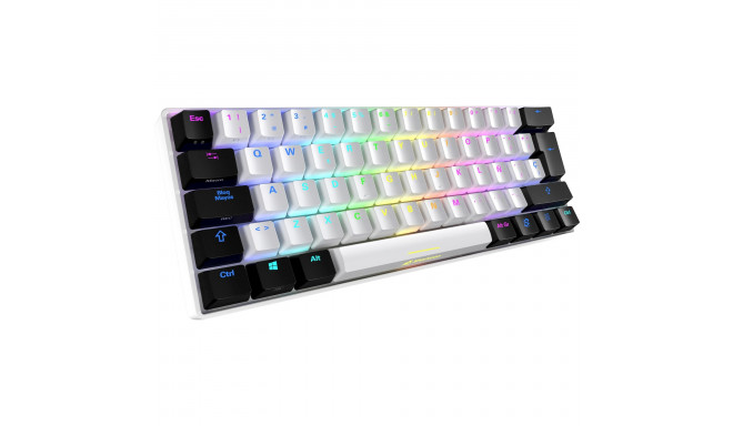 Sharkoon SKILLER SGK50 S4, gaming keyboard (white/black, ES layout, Kailh Red)