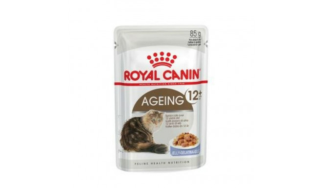 Kassitoit Royal Canin FHN Ageing 12+ Liha 12 x 85 g