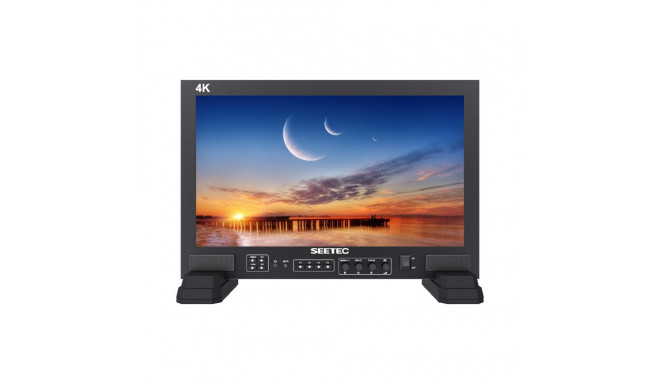 SEETEC MONITOR FS173-S4K 17.3 INCH