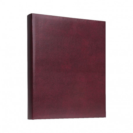 Focus Exclusive Line Ringbinder Red
