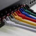 PremiumCord Patch cable UTP RJ45-RJ45 level 5e 3m grey