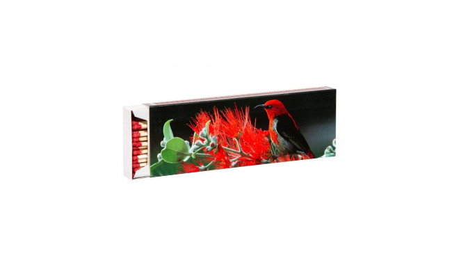 Flamax Matches 20cm 55pcs