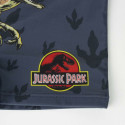 Boys Swim Shorts Jurassic Park Dark grey - 5 Years