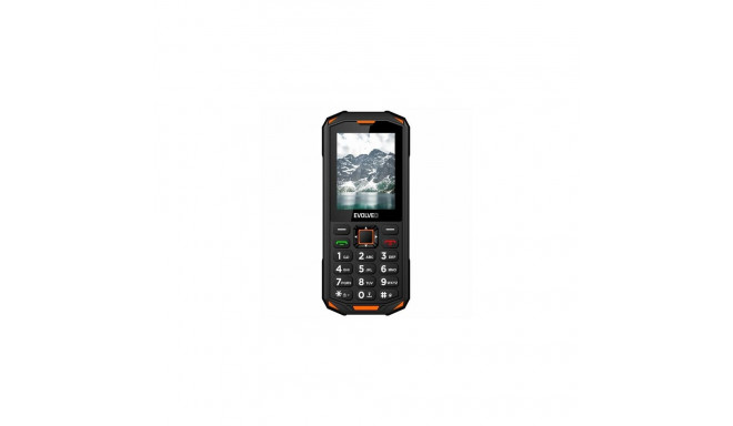 Evolveo StrongPhone SPX5OG mobile phone 6.1 cm (2.4&quot;) 160 g Black, Orange