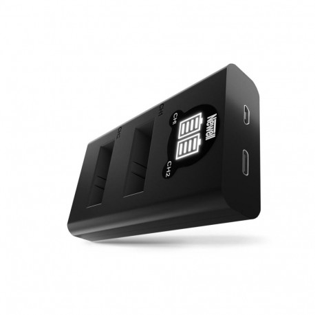 Newell DL-USB-C dual channel charger for AABAT-001