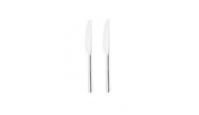 201381 LISA - 2PC TABLE KNIFE