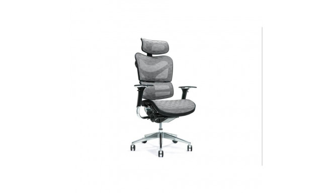 Ergonoomiline kontoritool ERGO 700 hall