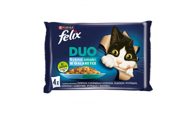 Felix Fantastic Duo- black cod, salmon, herring, trout, salmon, sardines, trout, mackerel in jelly -