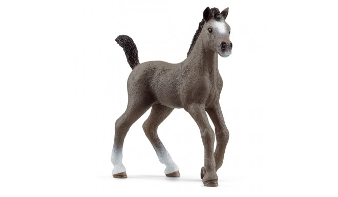 SCHLEICH HORSE CLUB Французский верховой жеребенок