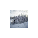 Buteo Photo Gear Camouflage Net 3 White/Grey 2,4x3 m