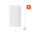 Smart Water Sensor WiFi NEO NAS-WS05W TUYA