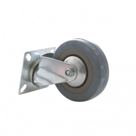 trolley ratas D100 PL 33100(1)