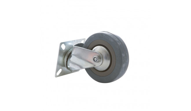 trolley ratas D100 PL 33100(1)
