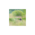 Buteo Photo Gear Floating Hide Grebe