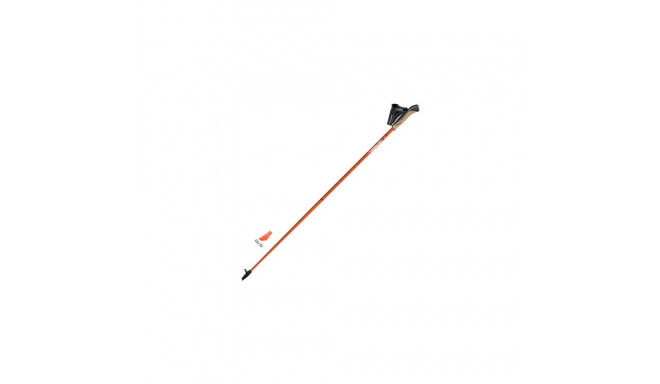 Gabel X-1.35 Active Палки для скандинавской ходьбы фиксированной длины, 105см