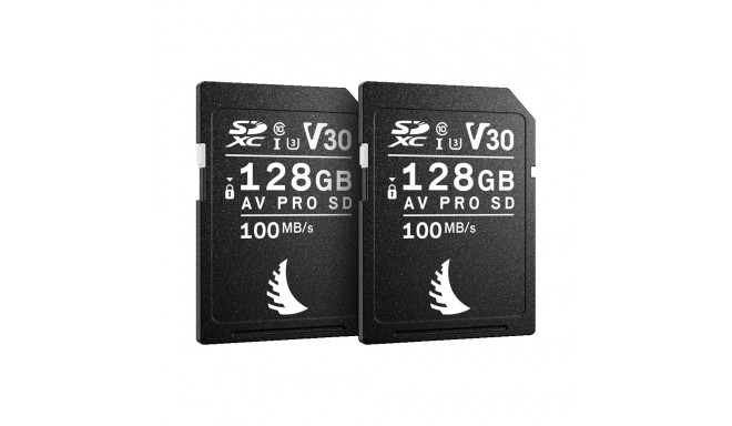 ANGELBIRD SD MATCH PACK FOR NIKON AV PRO V30 128 GB | 2 PACK