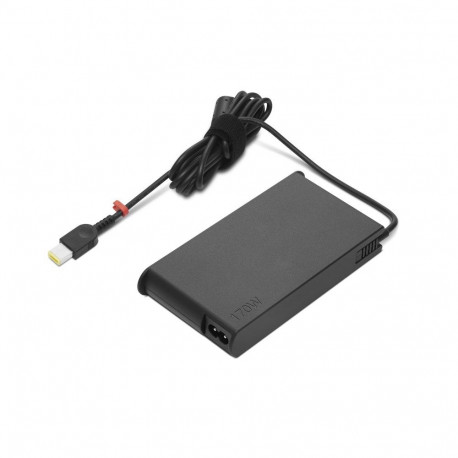 Lenovo GX20Z46287 toiteadapter/sisend inverter 170 W must