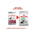 ROYAL CANIN Medium Digestive Care - dry dog food - 12kg