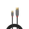 CABLE USB2 C-A 1M/ANTHRA 36886 LINDY