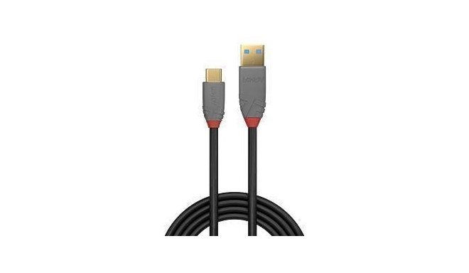 CABLE USB2 C-A 2M/ANTHRA 36887 LINDY