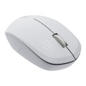 CANYON MW-04, Bluetooth Wireless optical mouse with 3 buttons, DPI 1200 , with1pc AA canyon turbo Al