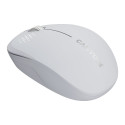 CANYON MW-04, Bluetooth Wireless optical mouse with 3 buttons, DPI 1200 , with1pc AA canyon turbo Al